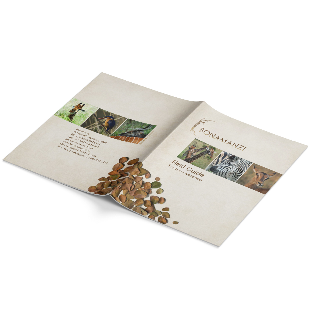 CaseStudy_Bonamanzi_04