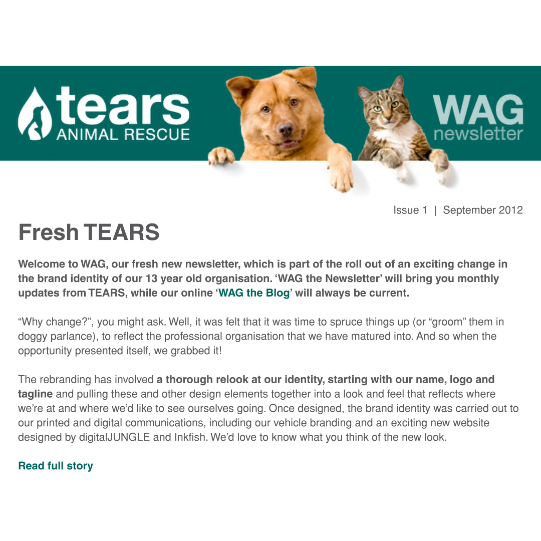 CaseStudy_Tears_04