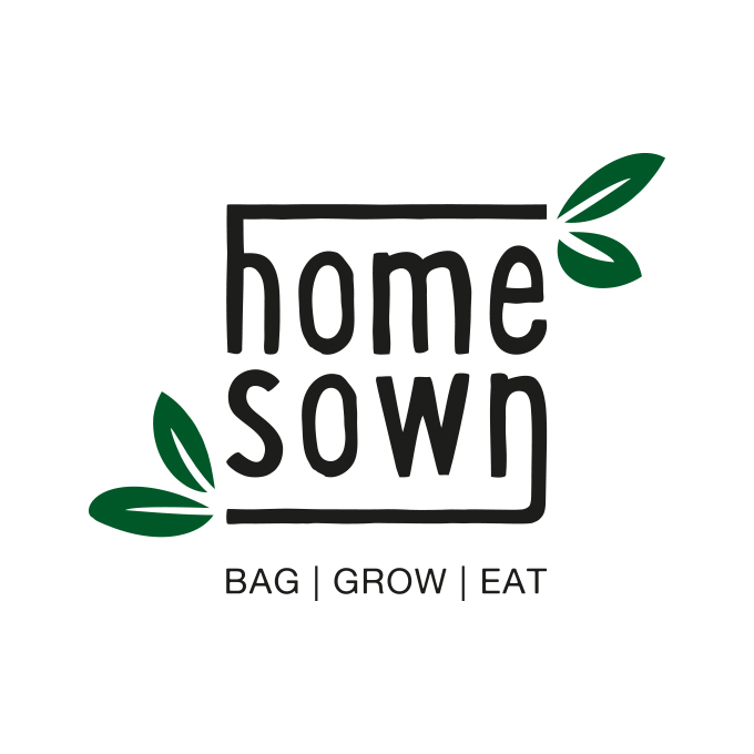 Logo_HSo